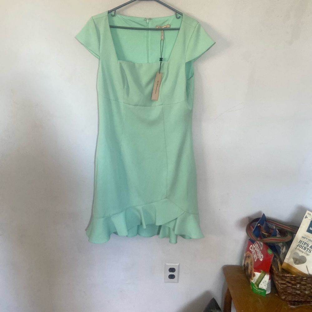 $15!!! NWT BCBG Dress
